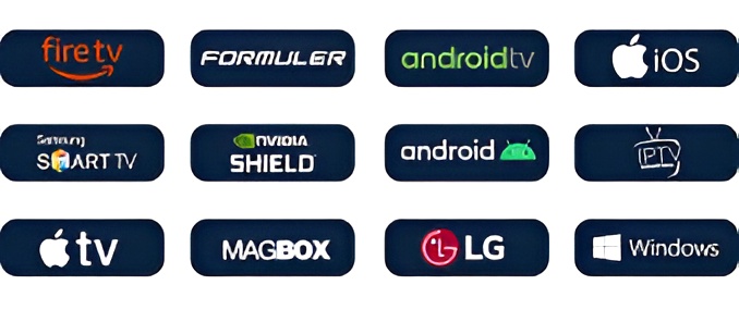 Digitalizard